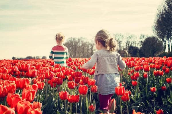 Rolle Natur Biologie für Kinder