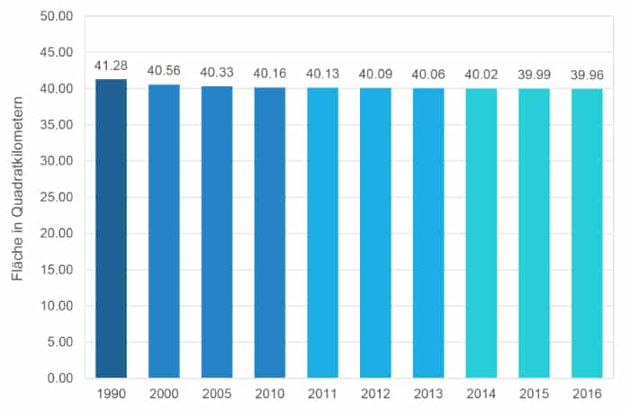 Klimawandel für Kinder erklärt: Verkleinerung Waldflächen
