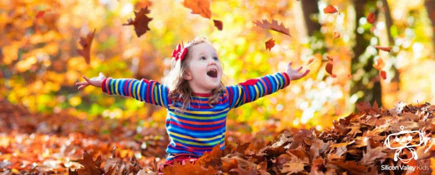 Herbst für Kinder kompakt erklärt