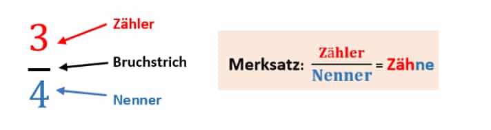 Brüche multiplizieren: Zähler und Nenner