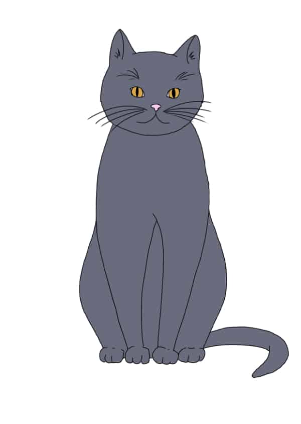 Katze malen: Farbe hinzufügen