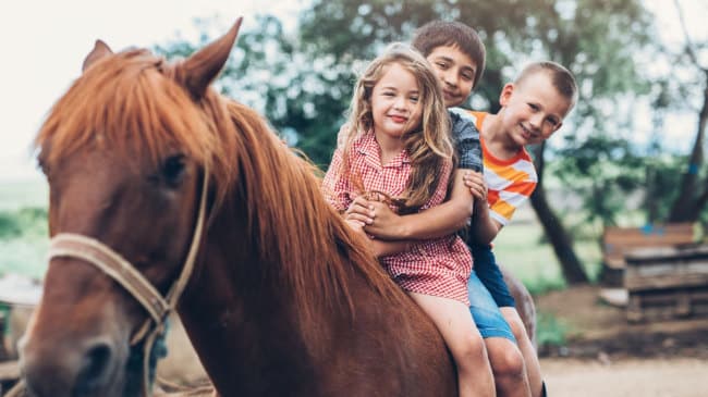 Kindergeburtstag Bauernhof - Aktivitäten