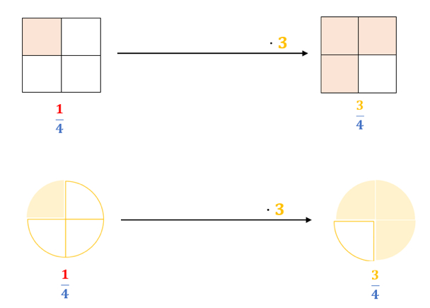 Multiplikation von Brüchen mit ganzer Zahl