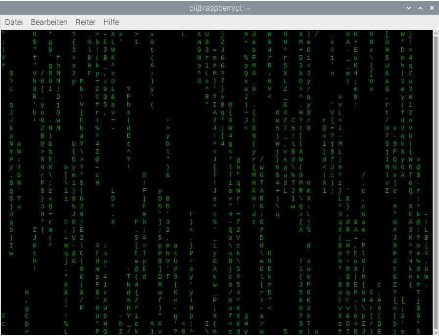 Die Matrix im Raspberry Pi Terminal