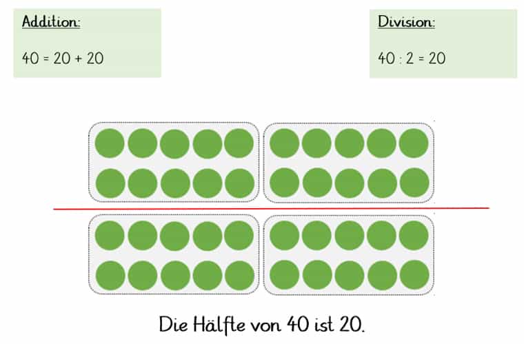 Halbieren: Die Zahl 40