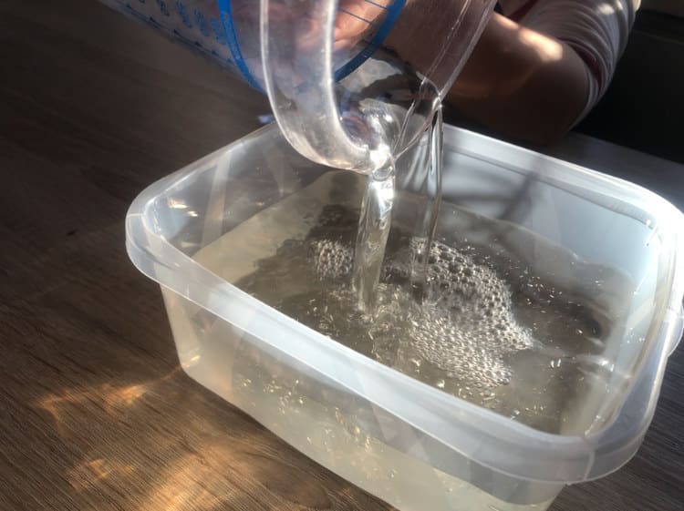 Triopse züchten: Wasser einfüllen