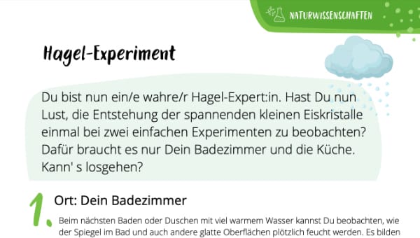 Hagel Experiment