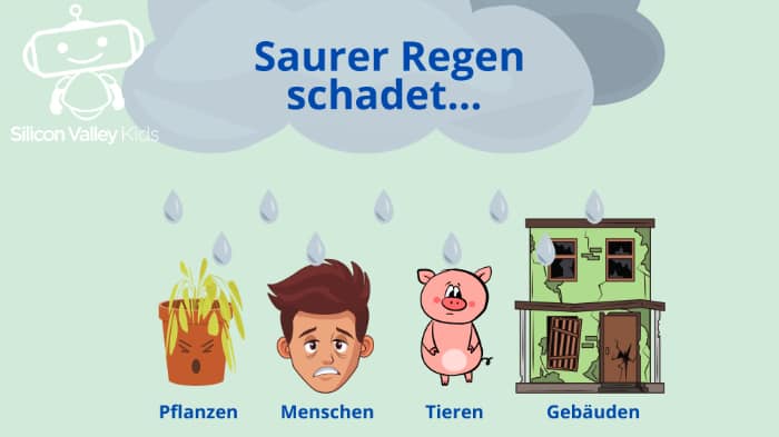 Saurer Regen und seine Folgen