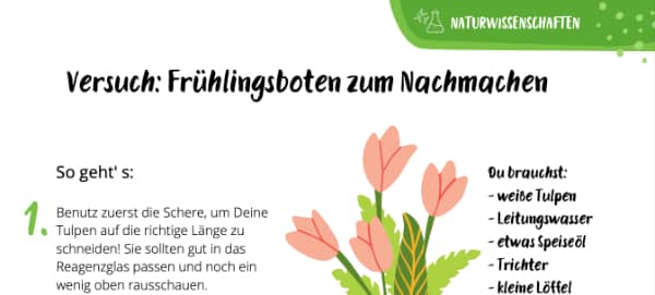 Versuch zum Frühling