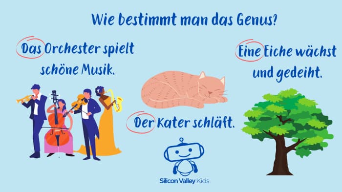 Wie bestimmt man das Genus?