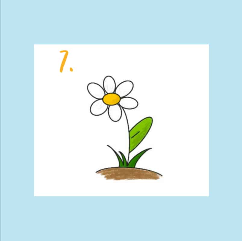 Gänseblümchen zeichnen