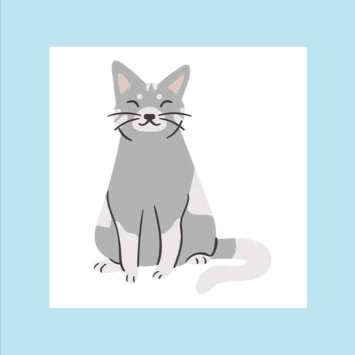 Katze zeichnen