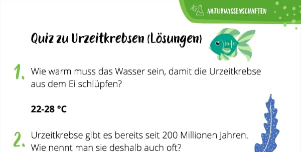 Quiz Urzeitkrebse (Lösungen)