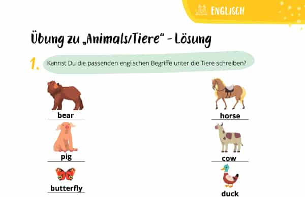 "Animals/Tiere" in der Grundschule – Lösung