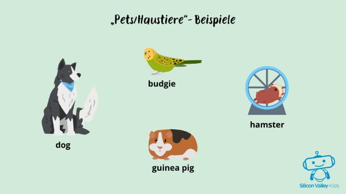 Pets/Haustiere – animals/Tiere im Englischunterricht