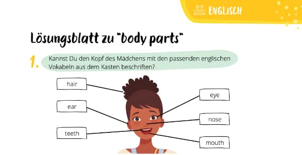 "Body parts" – Köperteile beschriften