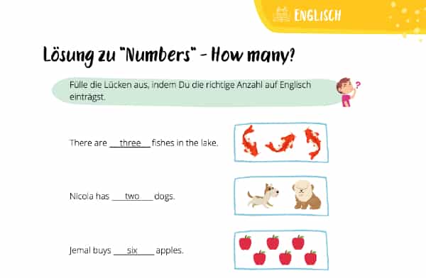 Englische Zahlen: Lösung zu "how many"