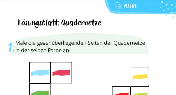 Lösungsblatt: Quadernetze