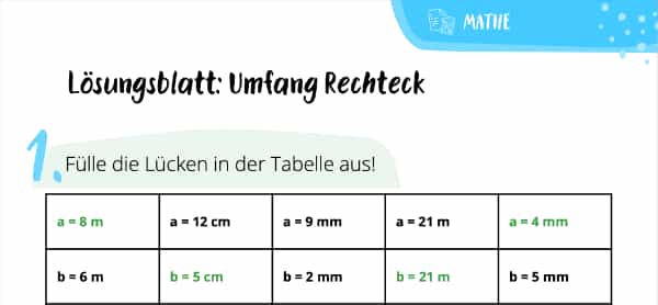 Lösungsblatt: Umfang Rechteck