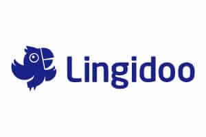 Übersetzungsbüro Lingidoo – Logo