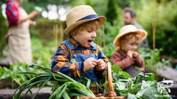 Kindergeburtstag Aktivitäten Bauernhof