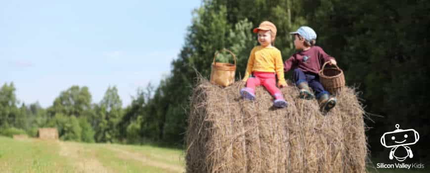 Kindergeburtstag Spaß Bauernhof